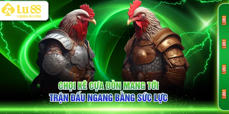 Quy định về tổ chức trọng tài trong đá gà cựa đòn