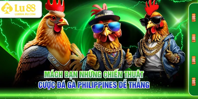 Mách bạn những chiến thuật cược đá gà Philippines dễ thắng