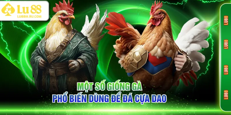 Một số giống gà phổ biến dùng để đá cựa dao