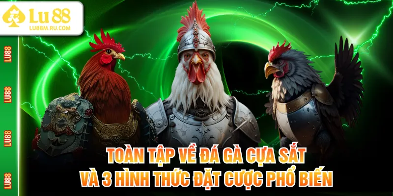 Đá gà cựa sắt